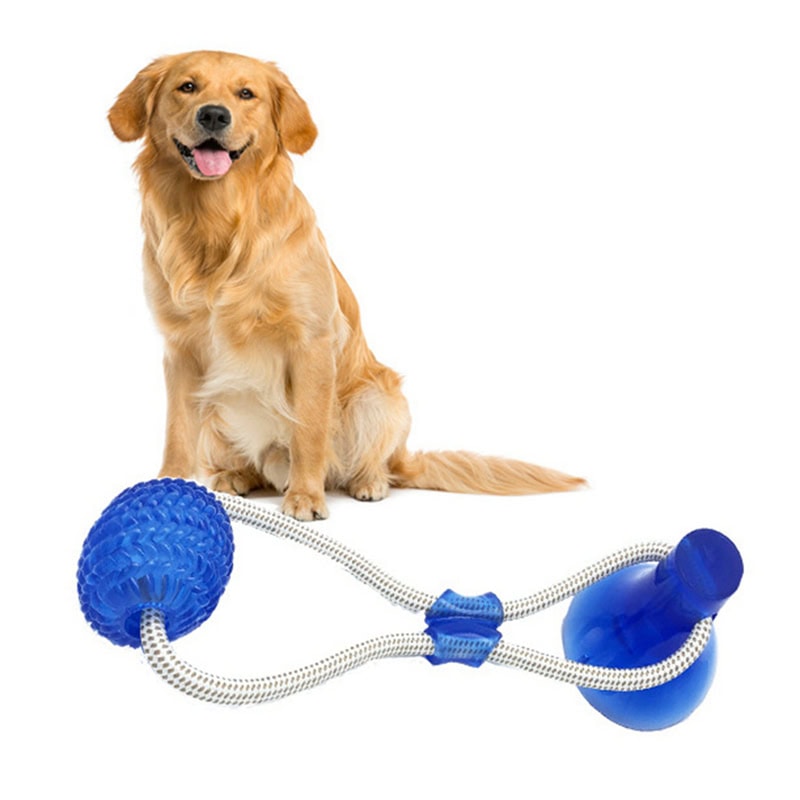 Dog Interactive Suction Cup Push TPR Ball Toys Elastic Ropes Dog Tooth Cleaning Chewing Playing IQ Treat Toys Pet Supplies